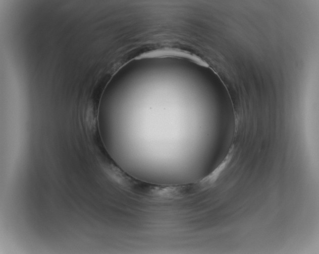 X0000113040186200909031319