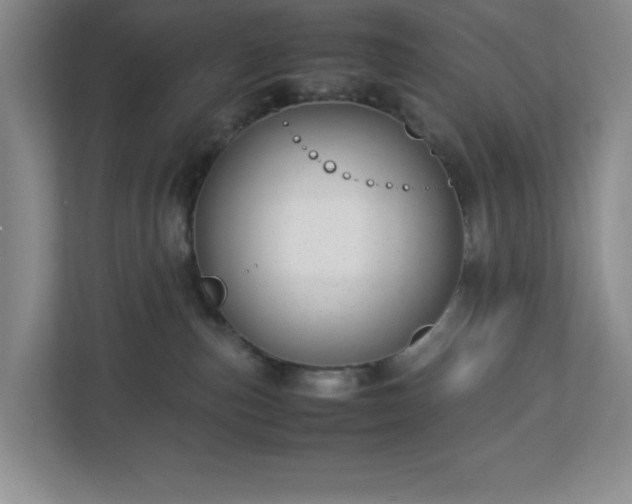 X0000113040187200909031319