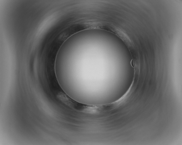 X0000113040190200909031319