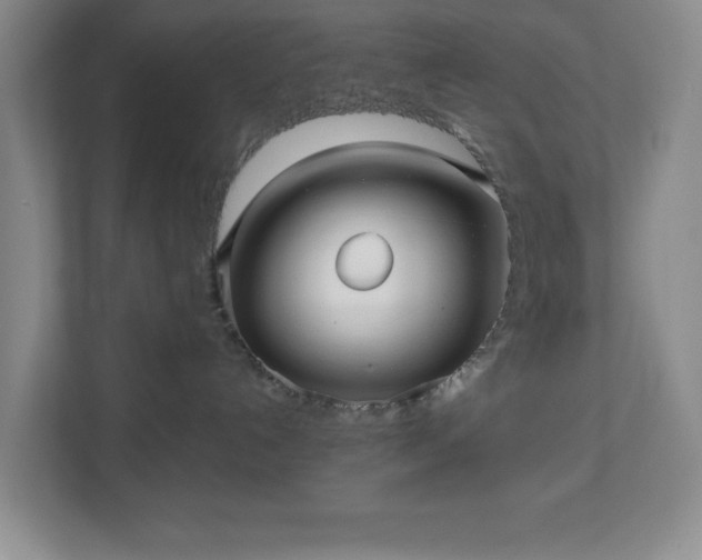 X0000113040192200909031319