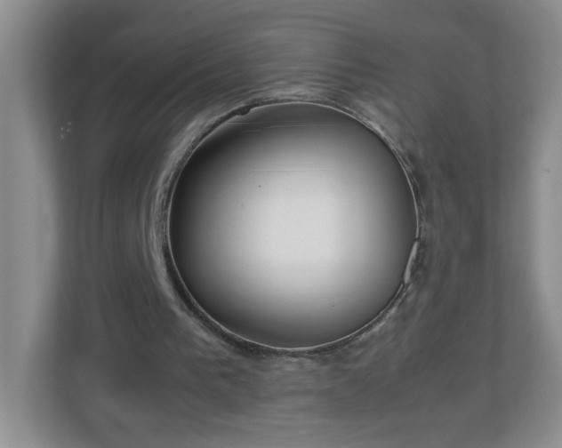 X0000113040193200909031319