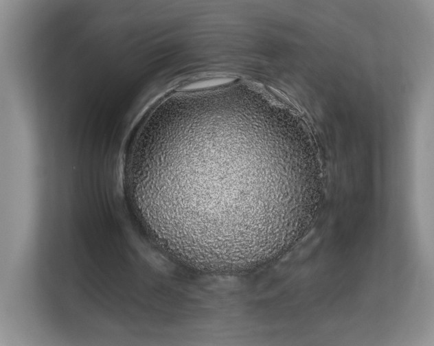 X0000113040194200909031318