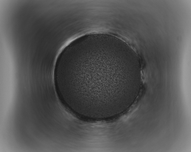 X0000113040196200909031318