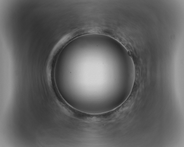 X0000113040197200909031318