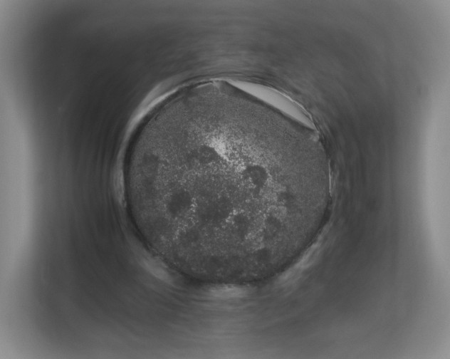 X0000113040198200909031318