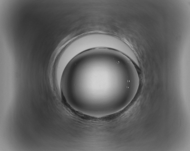 X0000113040199200909031318