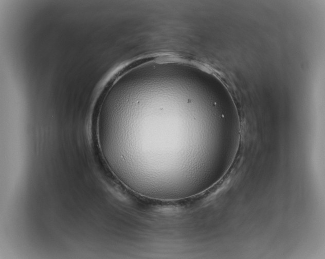 X0000113040200200909031318