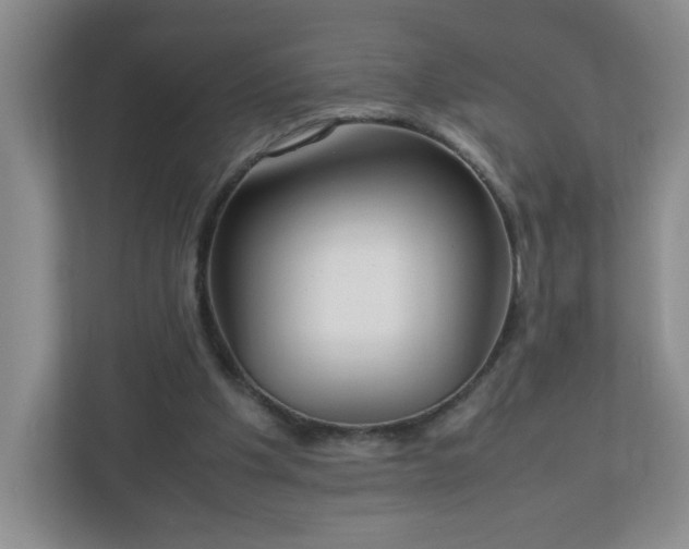 X0000113040201200909031318