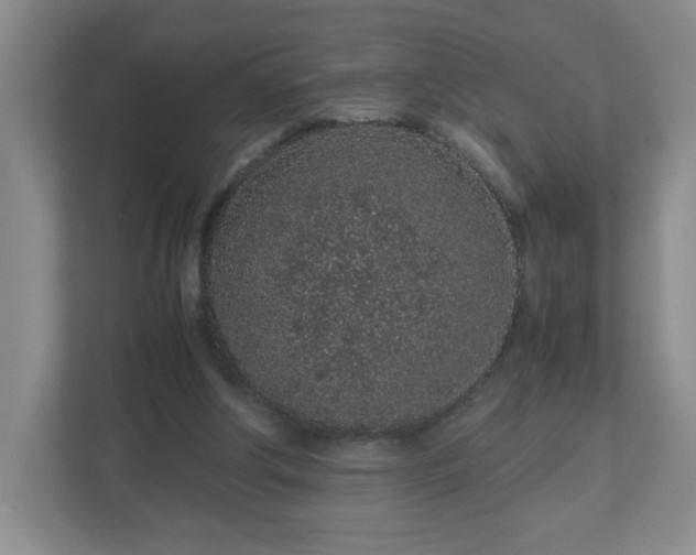 X0000113040202200909031318