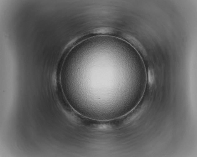 X0000113040204200909031318