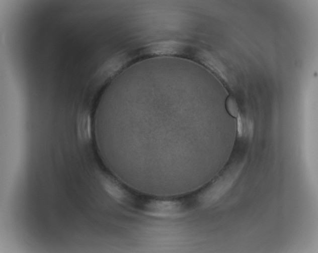 X0000113040205200909031318