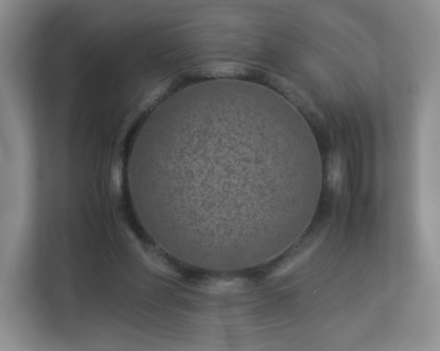 X0000113040206200909031318