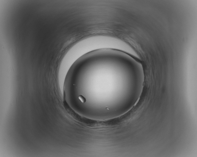 X0000113040207200909031318