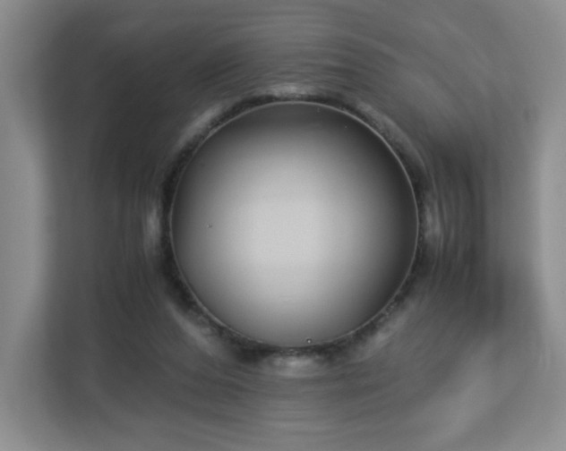 X0000113040208200909031318