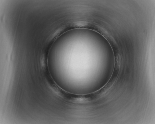 X0000113040212200909031318