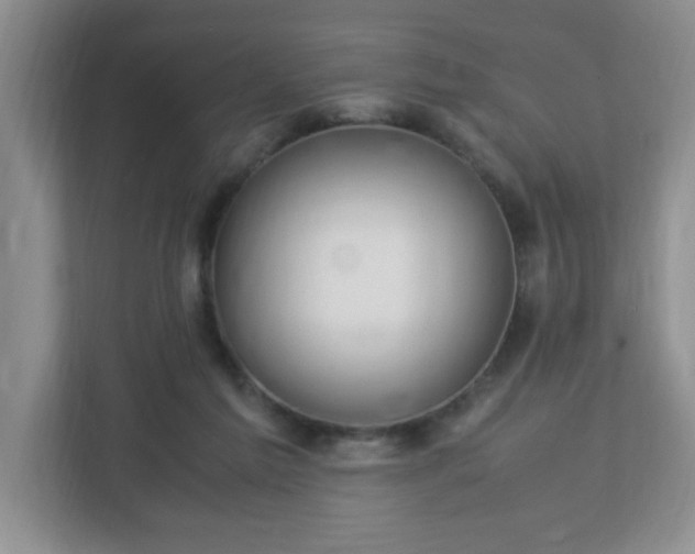 X0000113040213200909031318