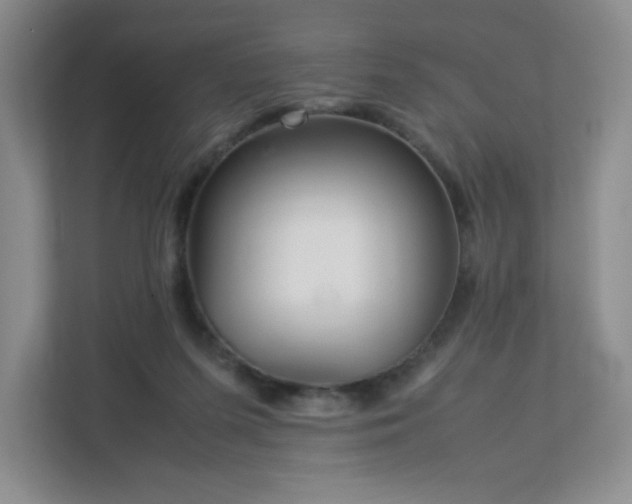 X0000113040215200909031318