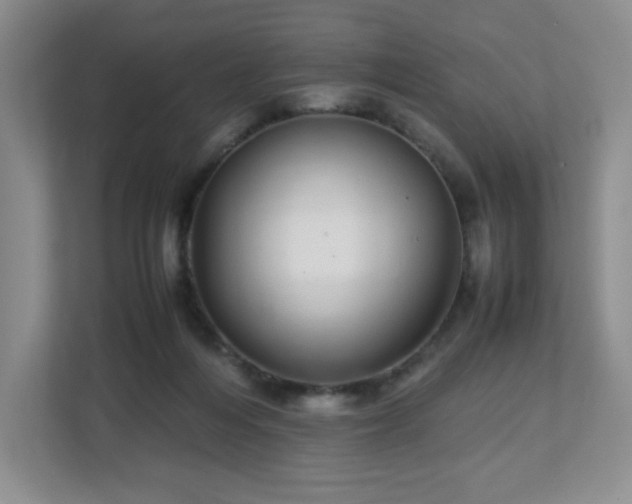 X0000113040216200909031318