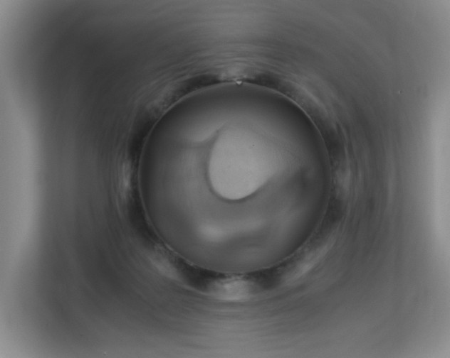 X0000113040219200909031318