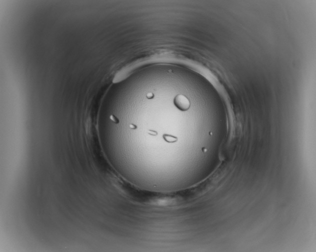 X0000113040220200909031318