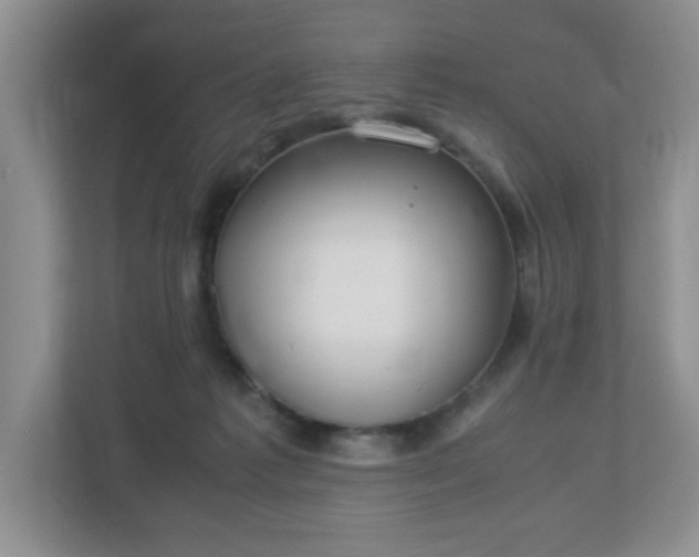 X0000113040221200909031318