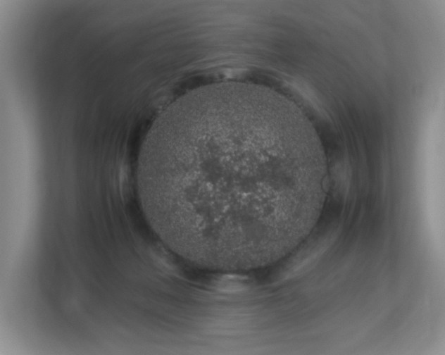 X0000113040222200909031318