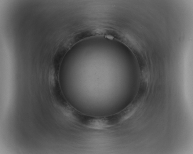 X0000113040223200909031318