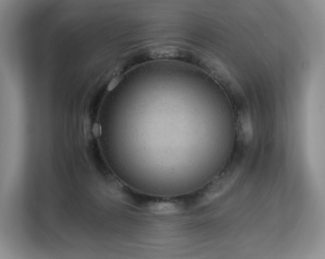 X0000113040224200909031318