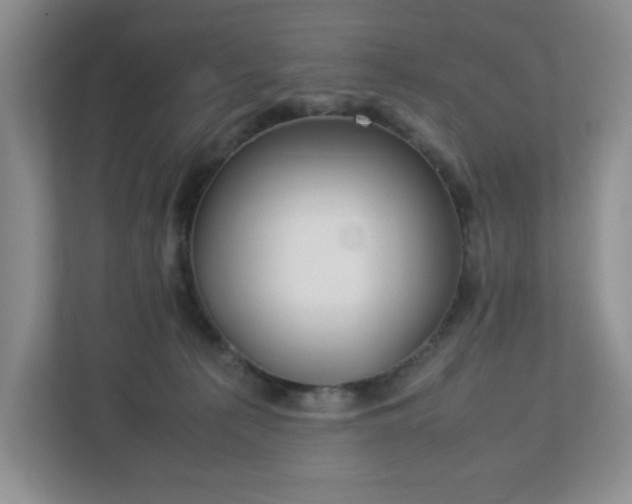 X0000113040225200909031318