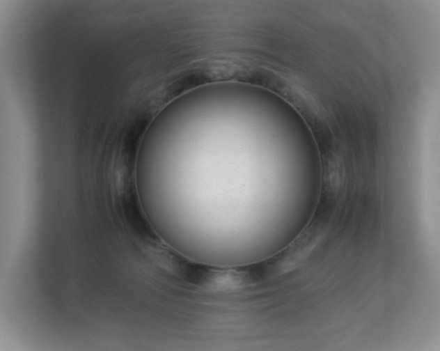 X0000113040226200909031318