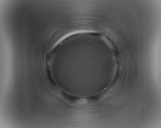 X0000113040227200909031318