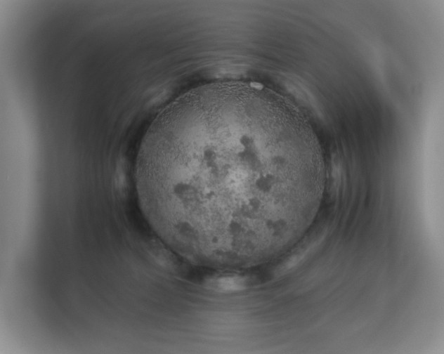 X0000113040228200909031318