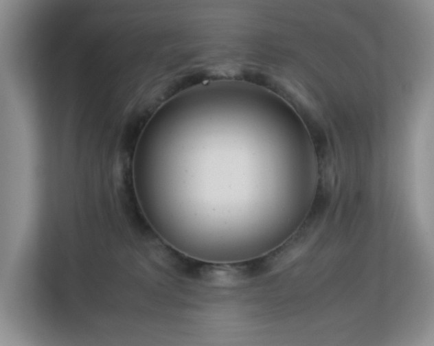 X0000113040229200909031318