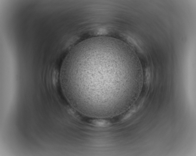 X0000113040230200909031318