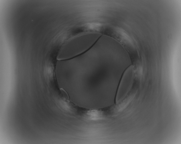 X0000113040231200909031318