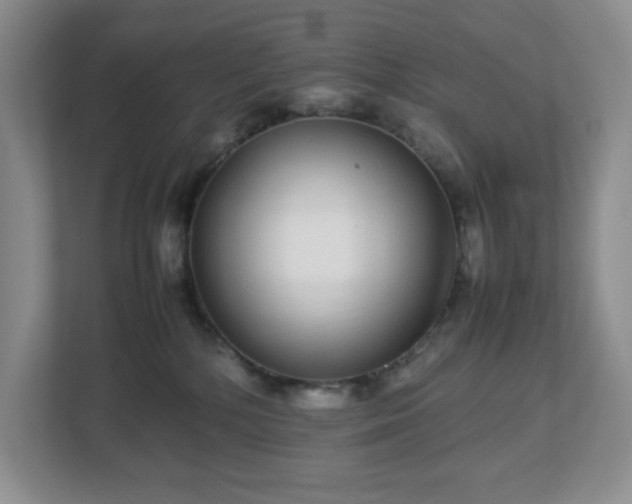 X0000113040232200909031318