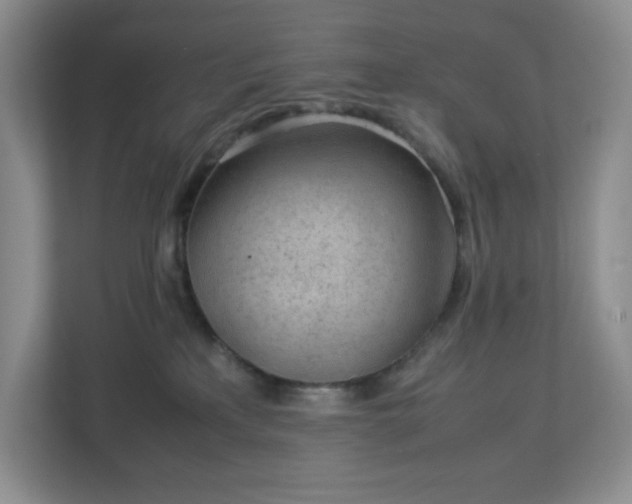 X0000113040233200909031318