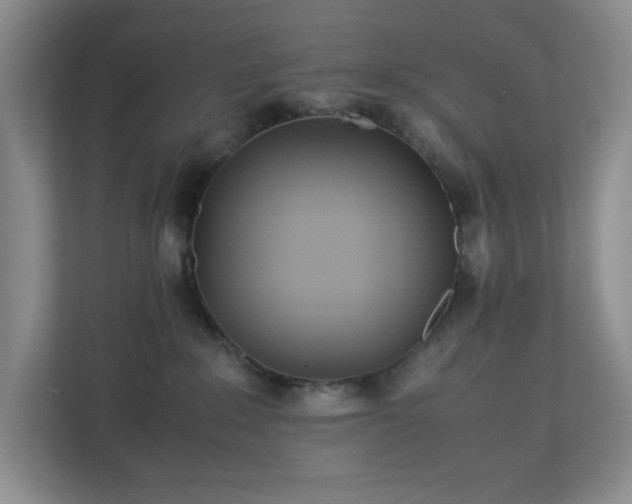 X0000113040235200909031318