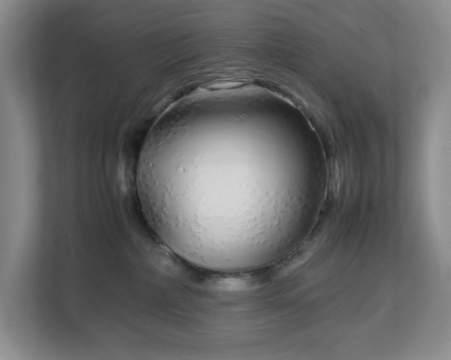 X0000113040236200909031318