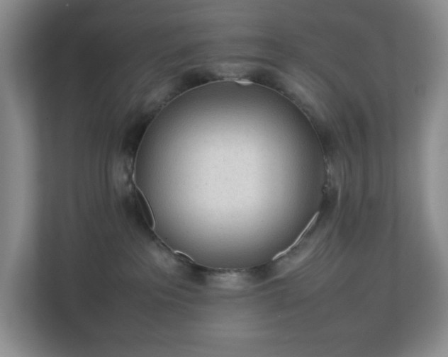 X0000113040237200909031318