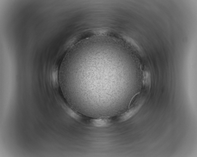 X0000113040238200909031318