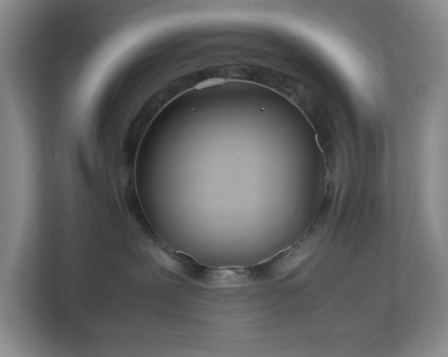 X0000113040239200909031318