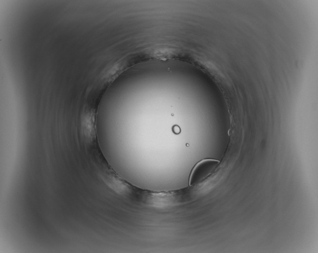 X0000113040240200909031318