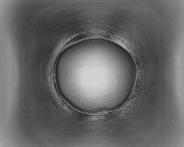 X0000113040241200909031317