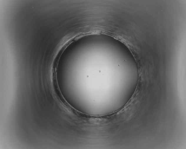 X0000113040242200909031317