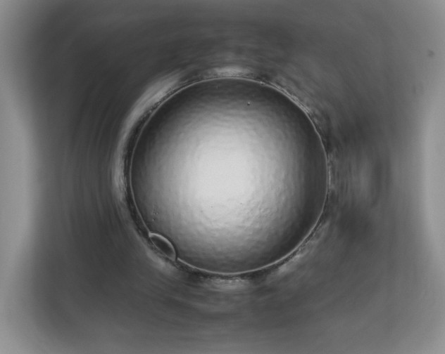 X0000113040245200909031317