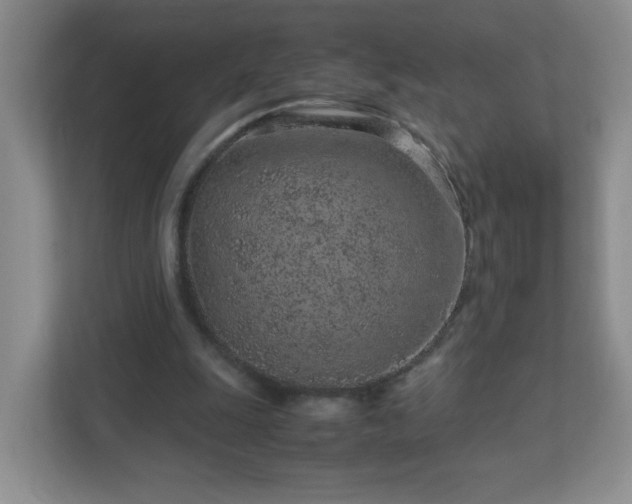 X0000113040247200909031317