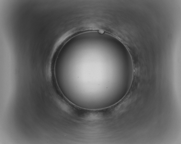 X0000113040248200909031317