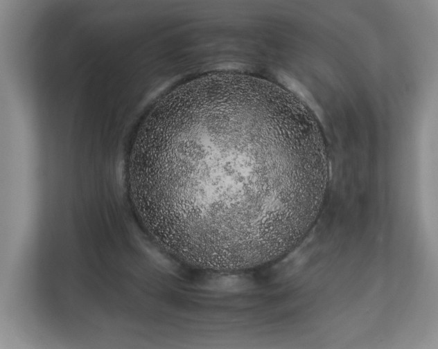 X0000113040249200909031317