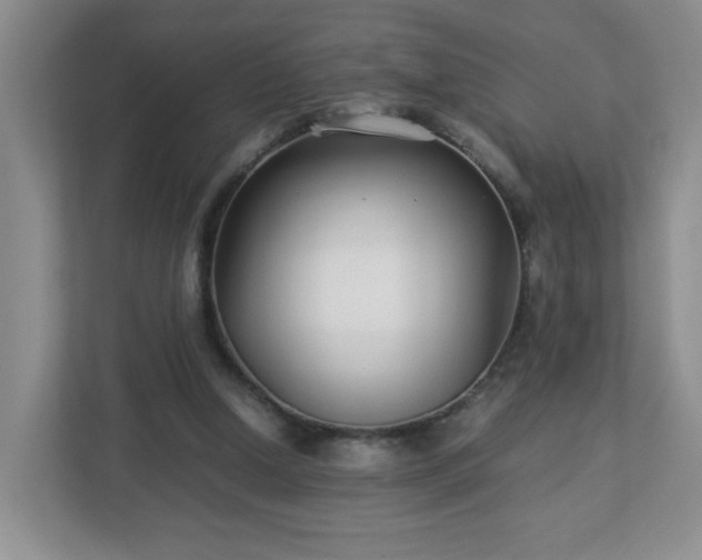 X0000113040250200909031317